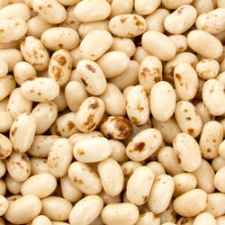 Jelly Belly Toasted Marshmallow Jelly Beans 1LB